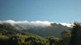 Fog coming over the hills